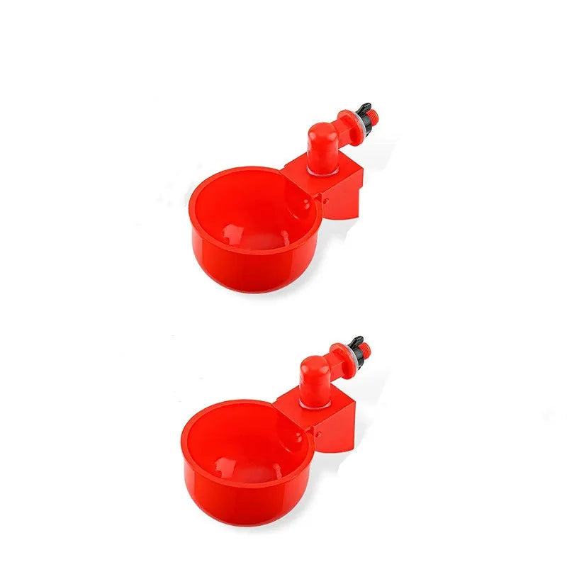 Bebedouro Automático Para Pato