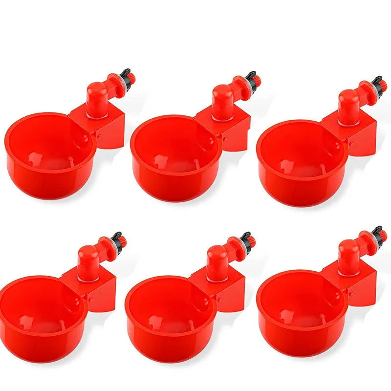 Bebedouro Automático Para Pato