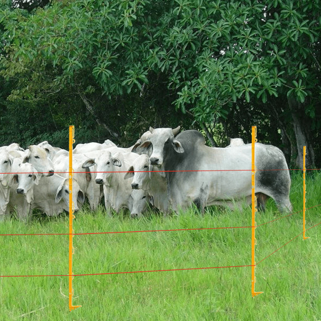 Kit 5 Haste Plástica Estaca Cerca Elétrica Rural 1,05 Metros