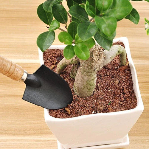 Kit Jardinagem