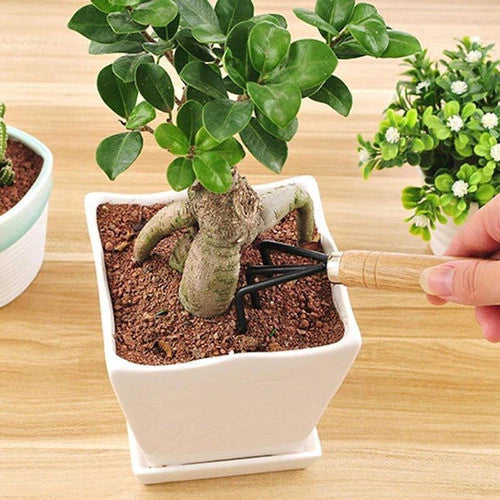 Kit Jardinagem